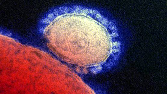 कोरोना वायरस के डरावने चेहरे, वैज्ञानिकों द्वारा ली गई तस्वीरें देखिए