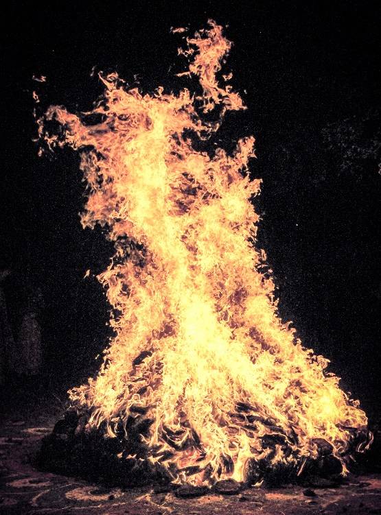 होलिका दहन पर अमृत काल, ये 10 चीज चढ़ाने से भस्म होंगी परेशानियां