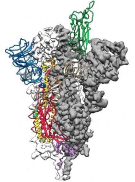 क्या चीन को मिल गया कोरोना वायरस का तोड़? दी जा रही ये दवाई