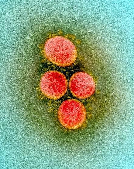 अब तक 8 बार शक्ल बदल चुका है कोरोना, हर चेहरे से खतरा एक जैसा