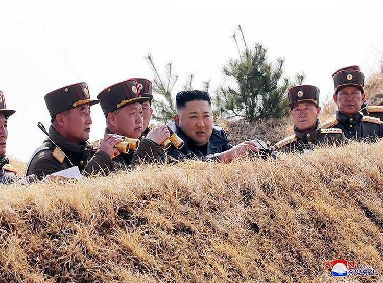 उत्तर कोरिया में कैदियों के शव की खाद पर हो रही खेती, फरार कैदी का दावा