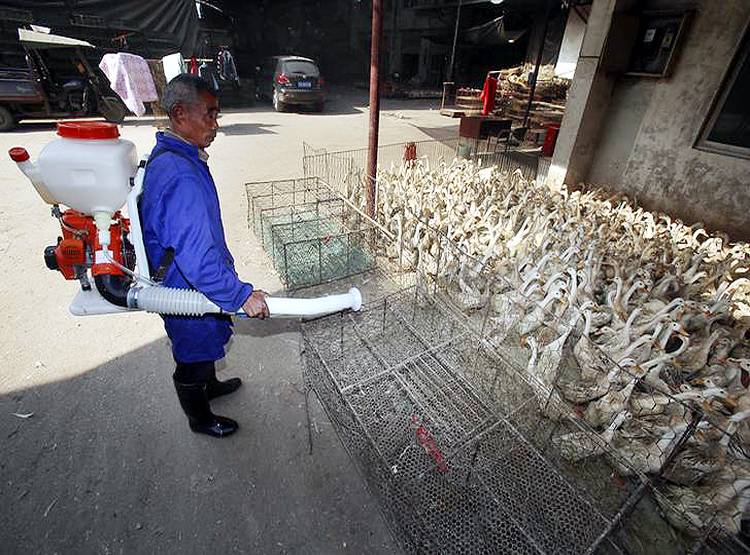 चेतावनीः कोरोना महज शुरुआत, नहीं सुधरा इंसान तो और बिगड़ेंगे हालात