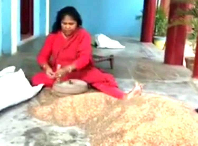 चक्की चलाती नजर आईं मोदी सरकार की मंत्री, साध्वी का वीडियो वायरल