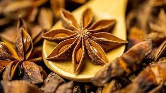 बीमारी से लड़ने की ताकत बढ़ानी है तो खाने में शामिल करें ये 15 चीजें