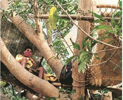 कोरोना के डर से गांव में एंट्री पर रोक, पेड़ पर क्वारंटाइन कर रहे 7 युवक