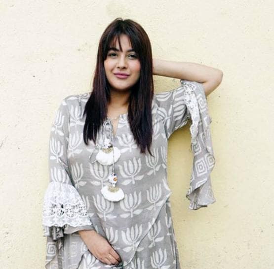 शहनाज की बेइज्जती करना पड़ा महंगा, इसलिए शो से बाहर हुए मयंक?