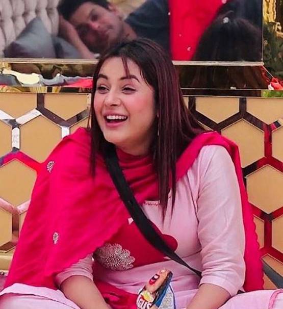 शहनाज की बेइज्जती करना पड़ा महंगा, इसलिए शो से बाहर हुए मयंक?