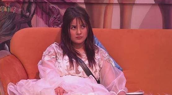 शहनाज की बेइज्जती करना पड़ा महंगा, इसलिए शो से बाहर हुए मयंक?