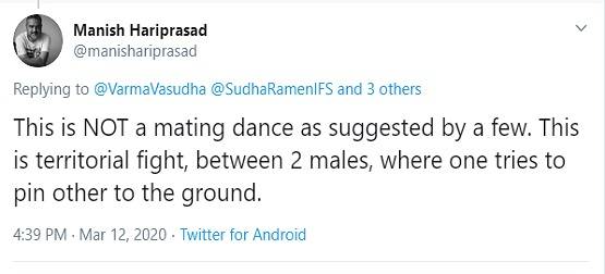 अचानक डांस करने लगा सांप का जोड़ा, वीडियो देख भड़के लोग