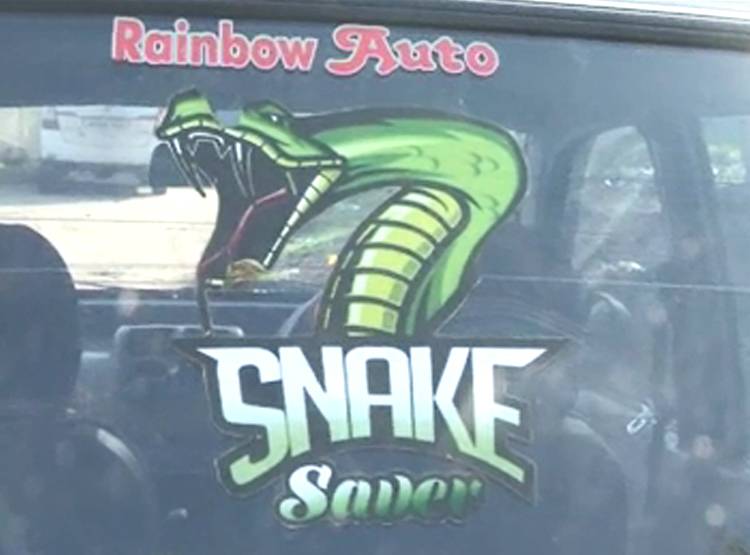 'स्नेक गर्ल' के नाम से मशहूर ये लड़की, द‍िखा चुकी है खतरनाक कारनामा