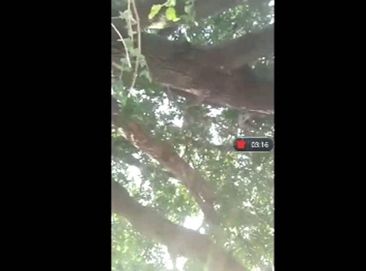 गले में फंदा डाल कपल ने सोशल मीड‍िया पर वीड‍ियो क‍िया अपलोड, इसके बाद...