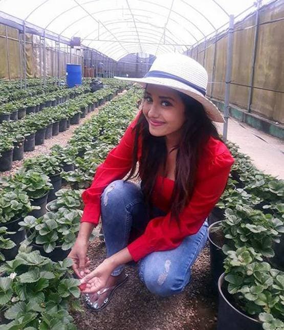 कोरोना से डर से इन स्टार्स ने आगे बढ़ाई शादी, एडवांस बुकिंग कराई कैंसिल