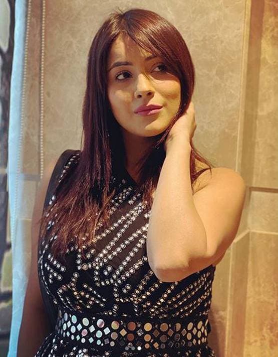 कंटेस्टेंट का कमेंट सुन भड़कीं शहनाज, कहा- 'उड़ा दूंगी तेरी धज्जियां'