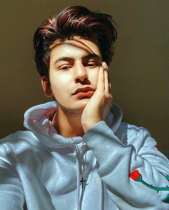 क्वारनटीन में कुछ नया कर रहे ये टॉप टिक टॉक स्टार्स, करें फॉलो