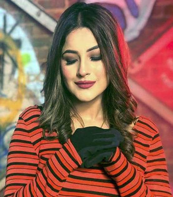 BB की एंटरटेनमेंट क्वीन शहनाज क्यों 'मुझसे शादी करोगे' में दिख रहीं बोरिंग?