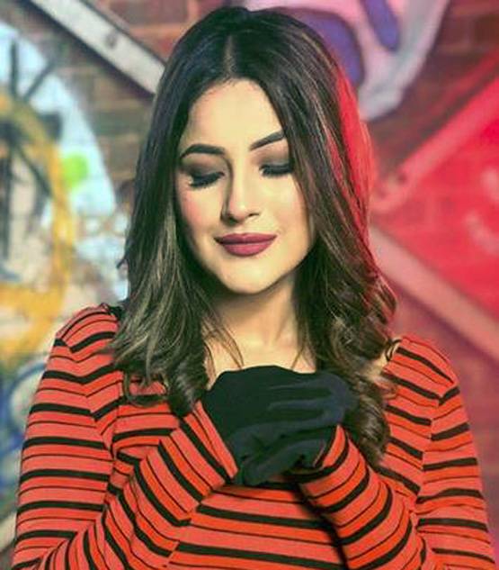 बिग बॉस 13 खत्म होने के बाद कहां बिजी हैं स्टार्स? पढ़ें अपडेट्स