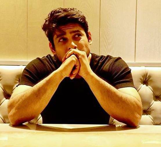 बिग बॉस 13 खत्म होने के बाद कहां बिजी हैं स्टार्स? पढ़ें अपडेट्स