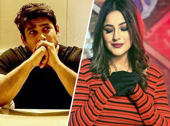 सिद्धार्थ-शहनाज का चल रहा अफेयर? एक्स बिग बॉस कंटेस्टेंट ने दिया हिंट