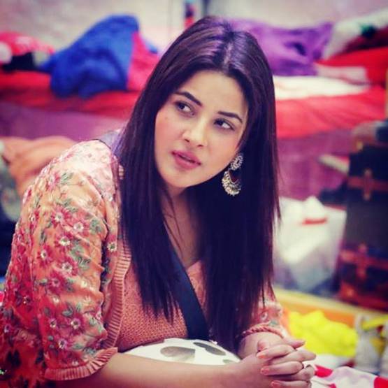 दोबारा टेलीकास्ट हुआ बिगबॉस, देखकर क्यों शर्मिंदा हैं शहनाज गिल?