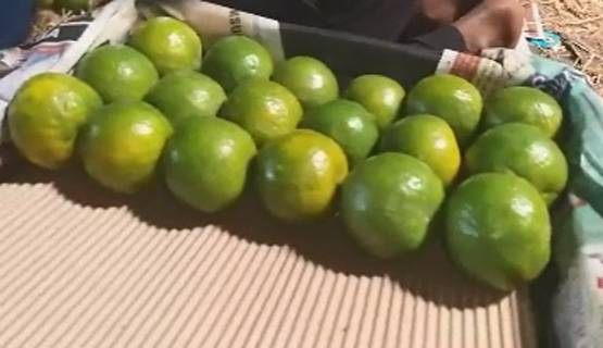 कोरोना से दुनियाभर के बाजार ठप, पर भारत के ये किसान हुए मालामाल