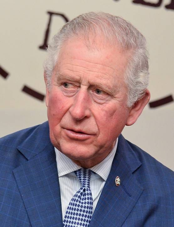 स्पेन की डिप्टी PM, प्रिंस चार्ल्स, कोरोना की चपेट में ये ग्लोबल लीडर