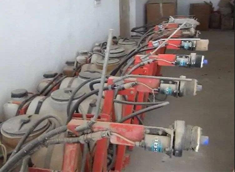 मुसीबत बनी टिड्डियां, एक दिन में चट करती हैं 35 हजार लोगों का खाना