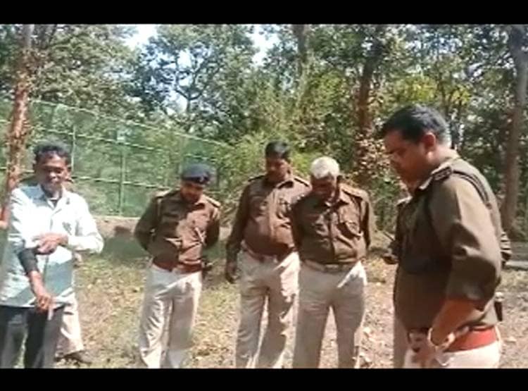 बाघिन के पास जाकर करने लगा प्रणाम, चंद सेकंड में गर्दन पर वार, मौत