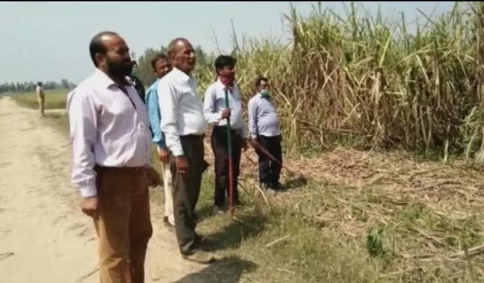 लॉकडाउन के बीच सड़कों पर घूम रही बाघिन, दहशत में दो दर्जन गांव