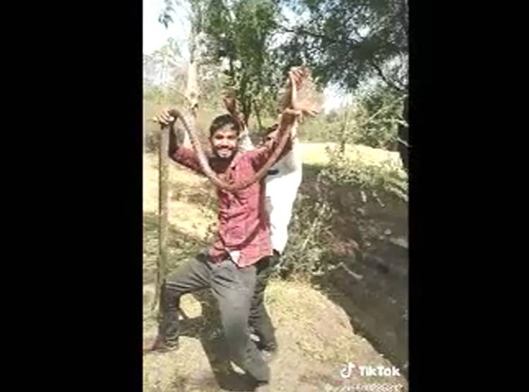 TikTok का चढ़ता नशा, सांप के साथ डांस कर मारकर जलाया