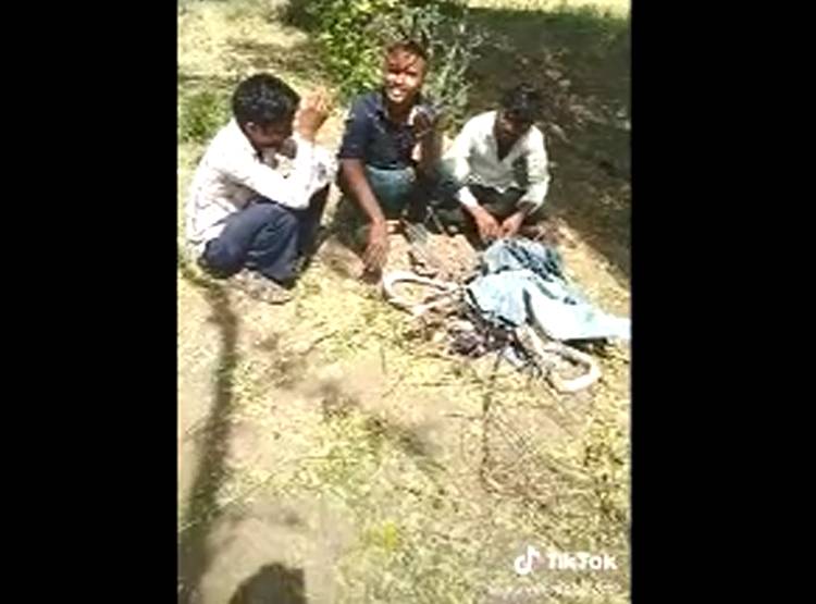 TikTok का चढ़ता नशा, सांप के साथ डांस कर मारकर जलाया