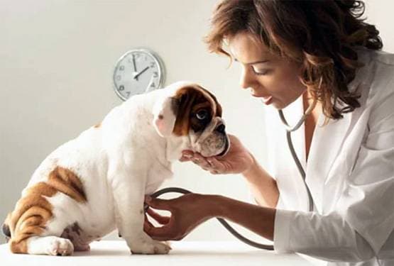 Sarkari Naukri: रेलवे समेत यहां भर्ती, 30 हजार से 1.5 लाख तक सैलरी