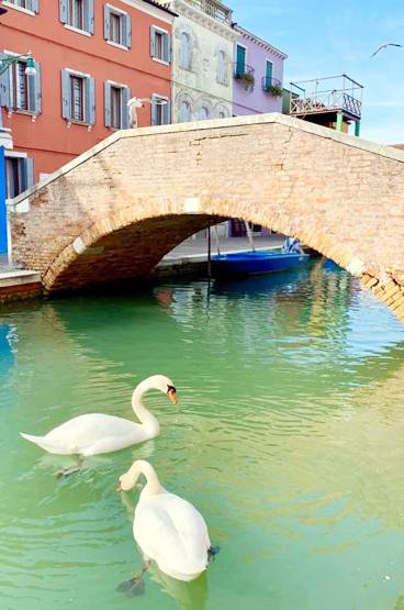 कोरोना का एक फायदा भी, रिसर्चर का दावा-75 हजार जानें बचेंगी