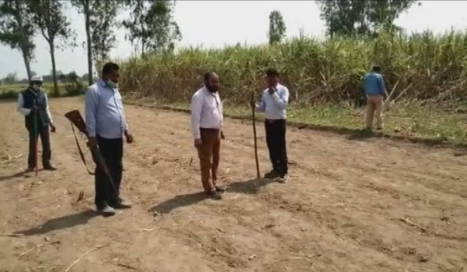 लॉकडाउन के बीच सड़कों पर घूम रही बाघिन, दहशत में दो दर्जन गांव