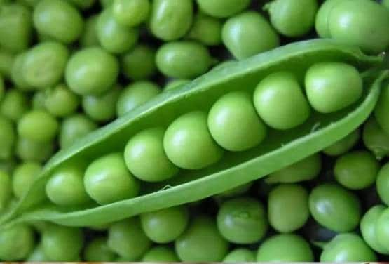 कोरोना: बच्चों की इम्यूनिटी के लिए डाइट में शामिल करें ये 10 फूड