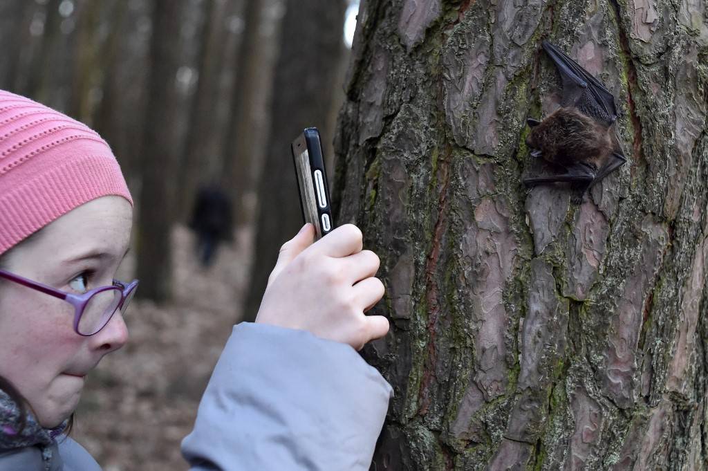 भारत के पड़ोस में मिले 6 नए तरह के कोरोना, खतरे पर हो रही है रिसर्च