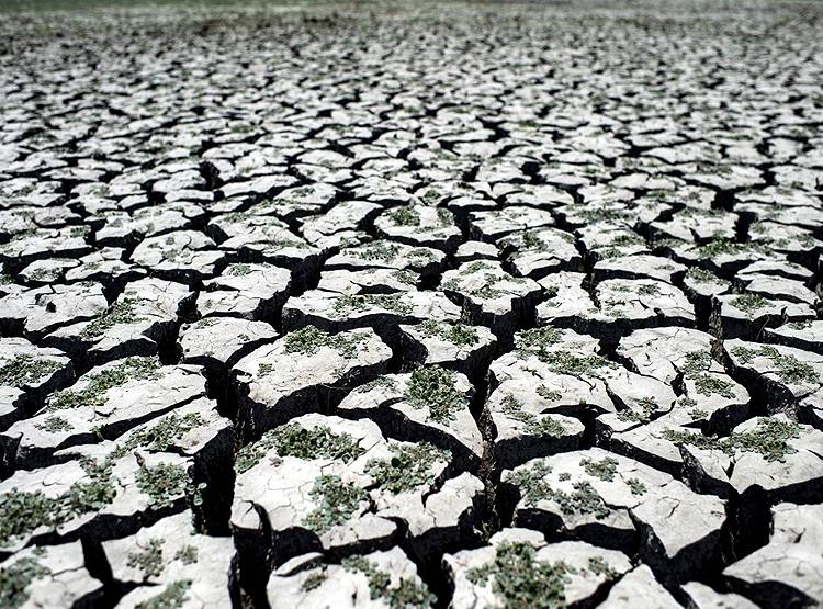 कोरोना, सूखा और तूफान से अमेरिका खस्ताहाल, ट्रंप पर बड़ी आफत