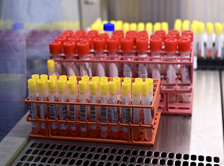 वैज्ञानिकों ने खोजा कोरोना का जीनोम सिक्वेंस, इलाज में मिलेगी मदद