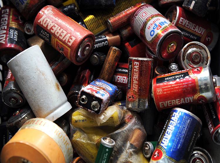 वायरस ऊर्जा के स्रोत, इनसे बनी हैं बैटरियां, MIT प्रोफेसर का दावा