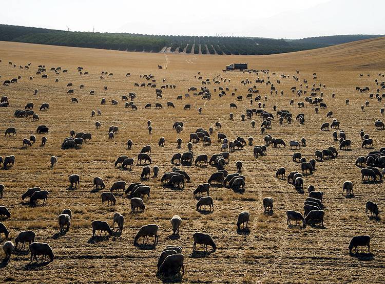 कोरोना, सूखा और तूफान से अमेरिका खस्ताहाल, ट्रंप पर बड़ी आफत