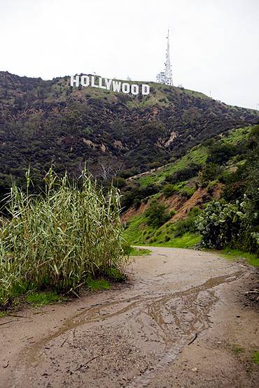 कोरोना, सूखा और तूफान से अमेरिका खस्ताहाल, ट्रंप पर बड़ी आफत