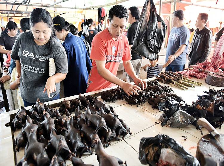 भारत के पड़ोस में मिले 6 नए तरह के कोरोना, खतरे पर हो रही है रिसर्च