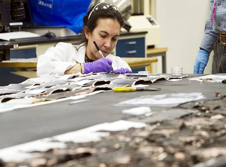 वायरस ऊर्जा के स्रोत, इनसे बनी हैं बैटरियां, MIT प्रोफेसर का दावा