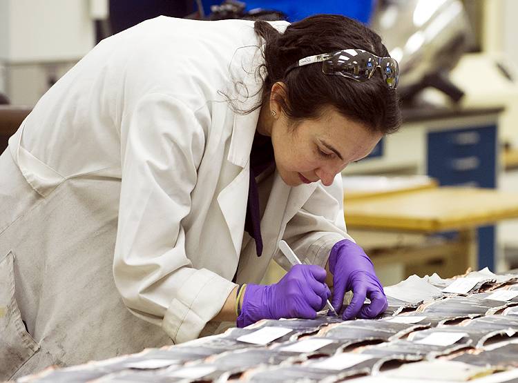 वायरस ऊर्जा के स्रोत, इनसे बनी हैं बैटरियां, MIT प्रोफेसर का दावा