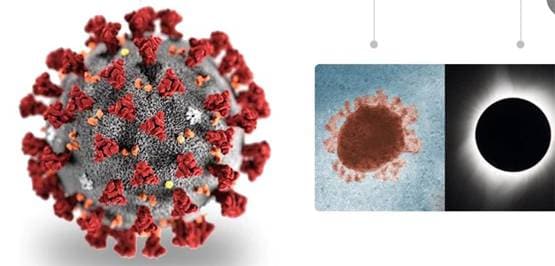 वो देश जहां शादी में भी मास्क पहनना जरूरी, वरना जा सकती है जान!