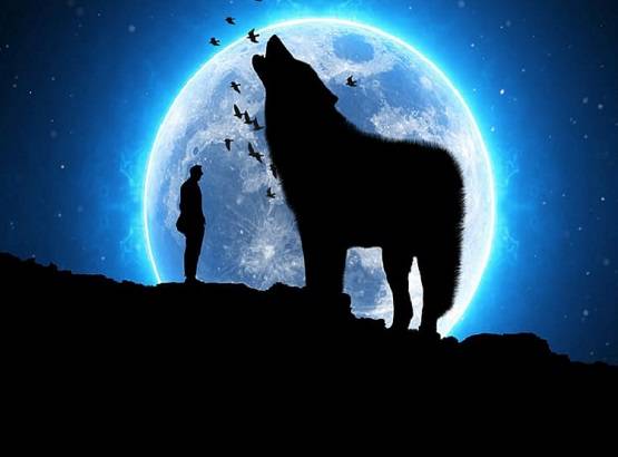 आज पृथ्वी के सबसे नजदीक होगा चांद, जानें भारत में कब दिखाई देगा?