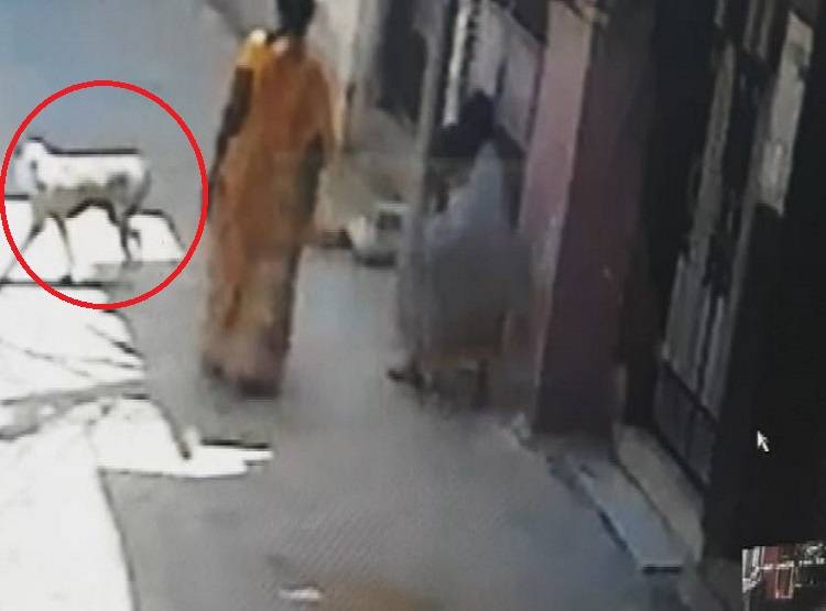 महिला ने कुत्ते से छीनी रोटी, 3 दिन तक बच्चियां रहीं भूखी