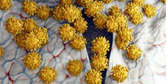 कोरोना वायरस: खान-पान से संक्रमण को लेकर वैज्ञानिकों ने बताईं ये अहम बातें