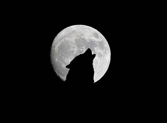 आज पृथ्वी के सबसे नजदीक होगा चांद, जानें भारत में कब दिखाई देगा?