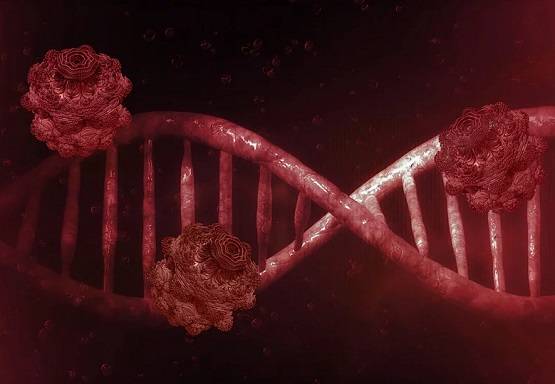 कोरोना वायरस से ठीक हो चुके मरीजों को लेकर WHO ने पूरी दुनिया को किया आगाह!