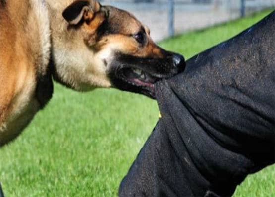 किसने बनाई थी दुनिया की पहली वैक्सीन, इस बीमारी से मिला था छुटकारा